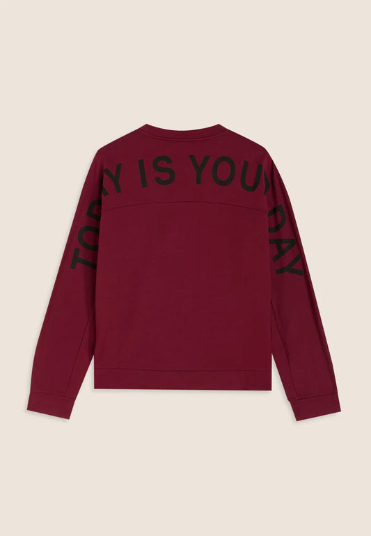 FREDDY FELPA F25WMCS6-K85