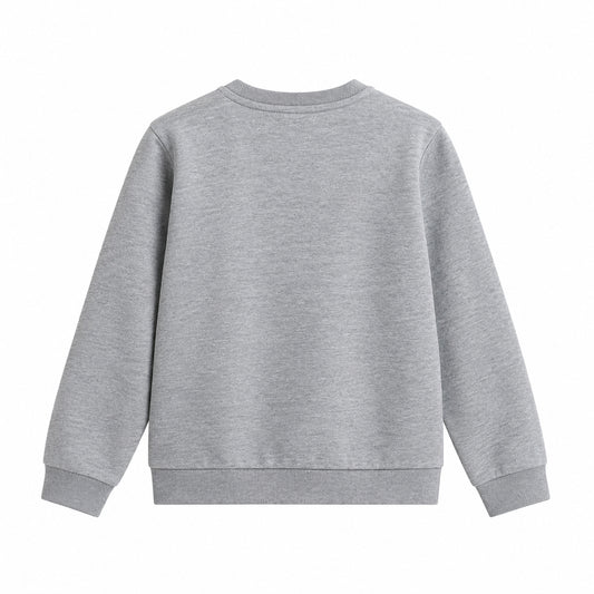 THE NORTH FACE NTF TEEN EVOLUTION SIMPLE DOME CREW TNF PALE GREY HEATHER NF0A8ESMCQO1