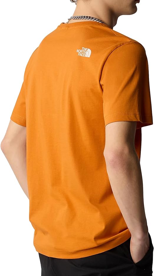 THE NORTH FACE M S/S MOUNTAIN LINE TEE DESERT RUST NF0A87NTPCO1