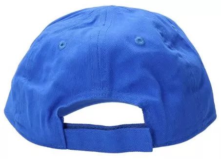 NIKE FUTURE CURVE BRIM CAP 8A2902-U89