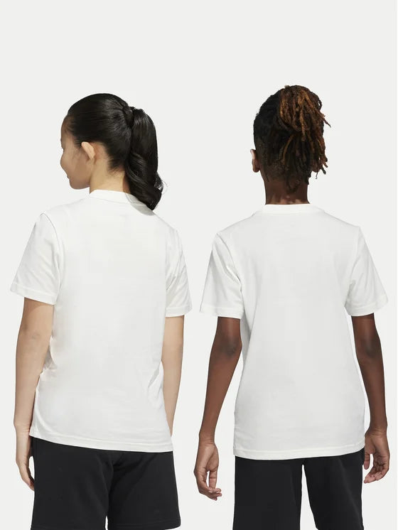 ADIDAS AOR TEE CLOWHI IX5266