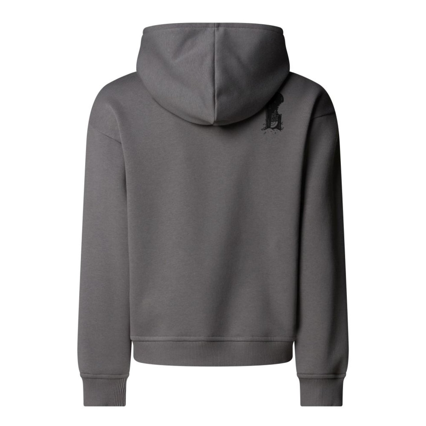 THE NORTH FACE NTF B OVERSIZE HOODIE SMOKED PEARL NF0A8EAM0UZ1