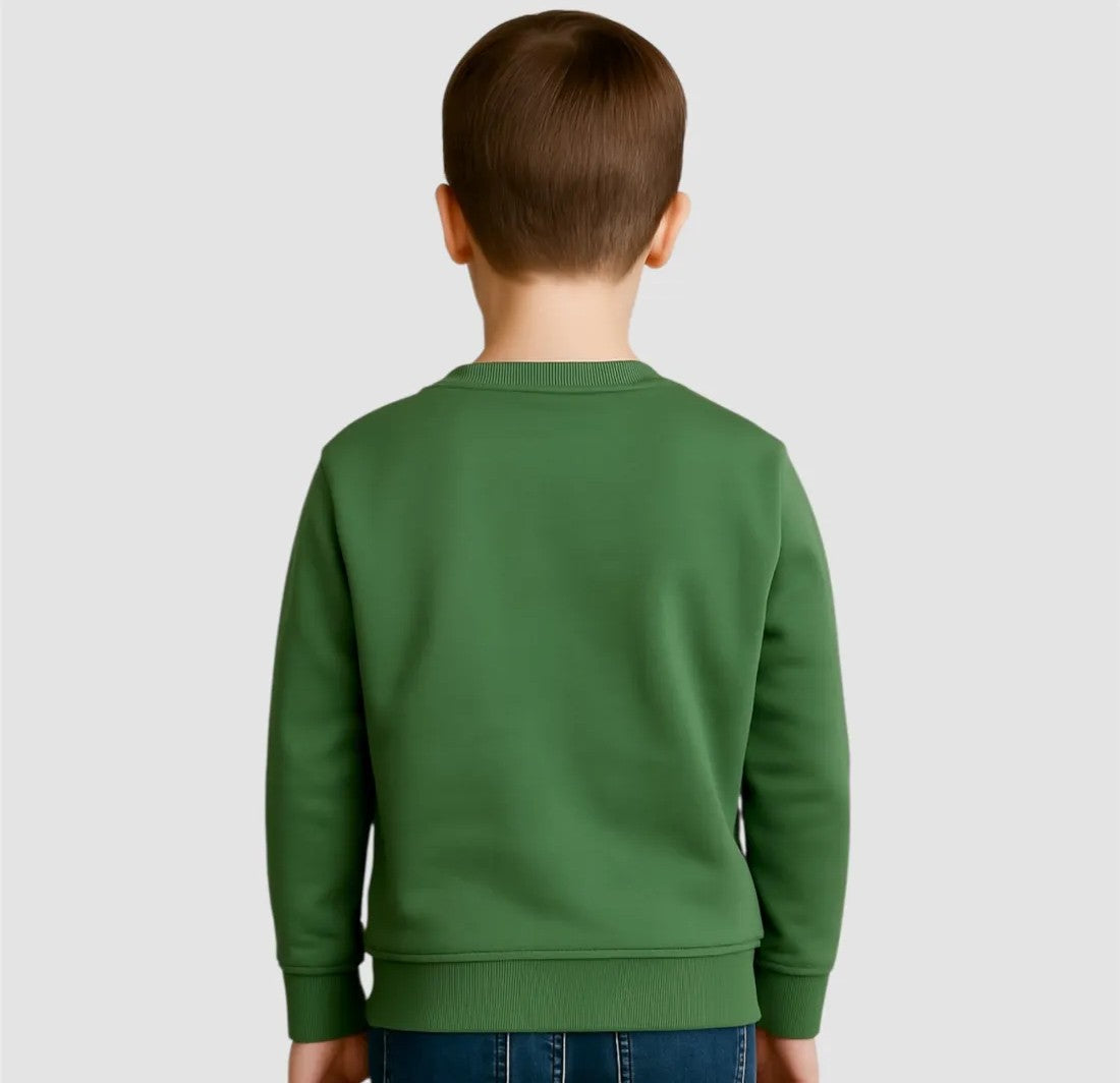 DS2 FELPA GIROCOLLO 100% COTONE VERDE FW25K067