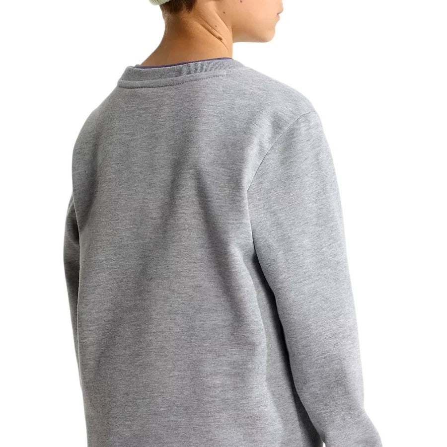 THE NORTH FACE NTF TEEN EVOLUTION SIMPLE DOME CREW TNF PALE GREY HEATHER NF0A8ESMCQO1