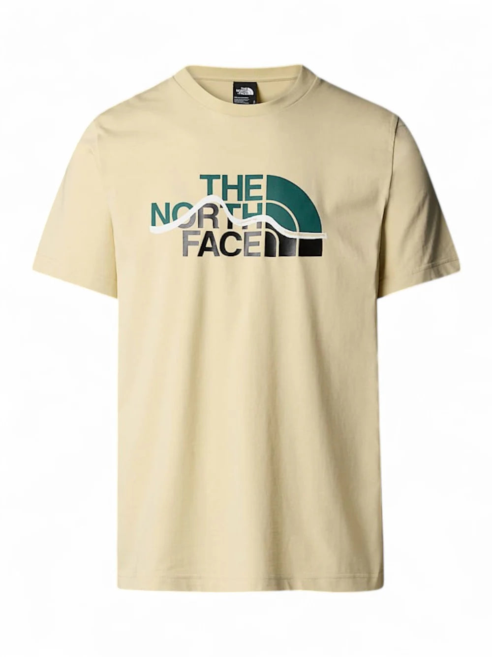 THE NORTH FACE M SS MOUNTAIN LINE TEE GRAVEL NF0A87NT3X41