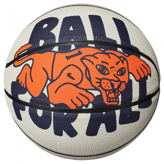 EVERYDAY PLGRD GPH 07 LB/MN/BK pallone basket bianco ghiaccio N100437106307