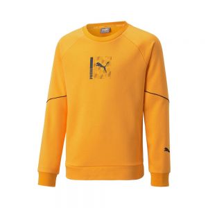 670074-39 - Felpe - PUMA