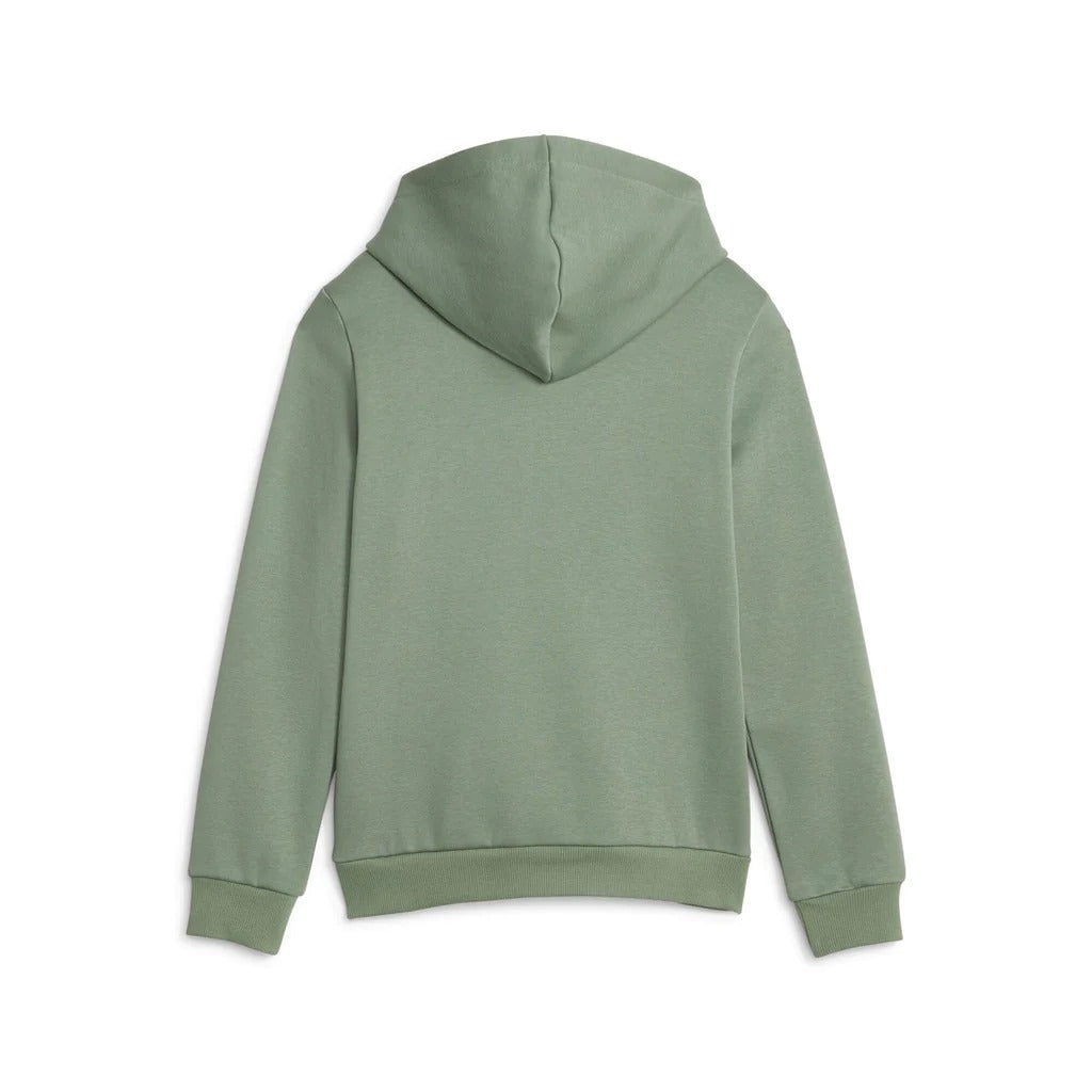 849081-44 ESS Block Hoodie FL B Eucalyptus
