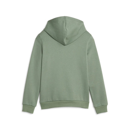 849081-44 ESS Block Hoodie FL B Eucalyptus
