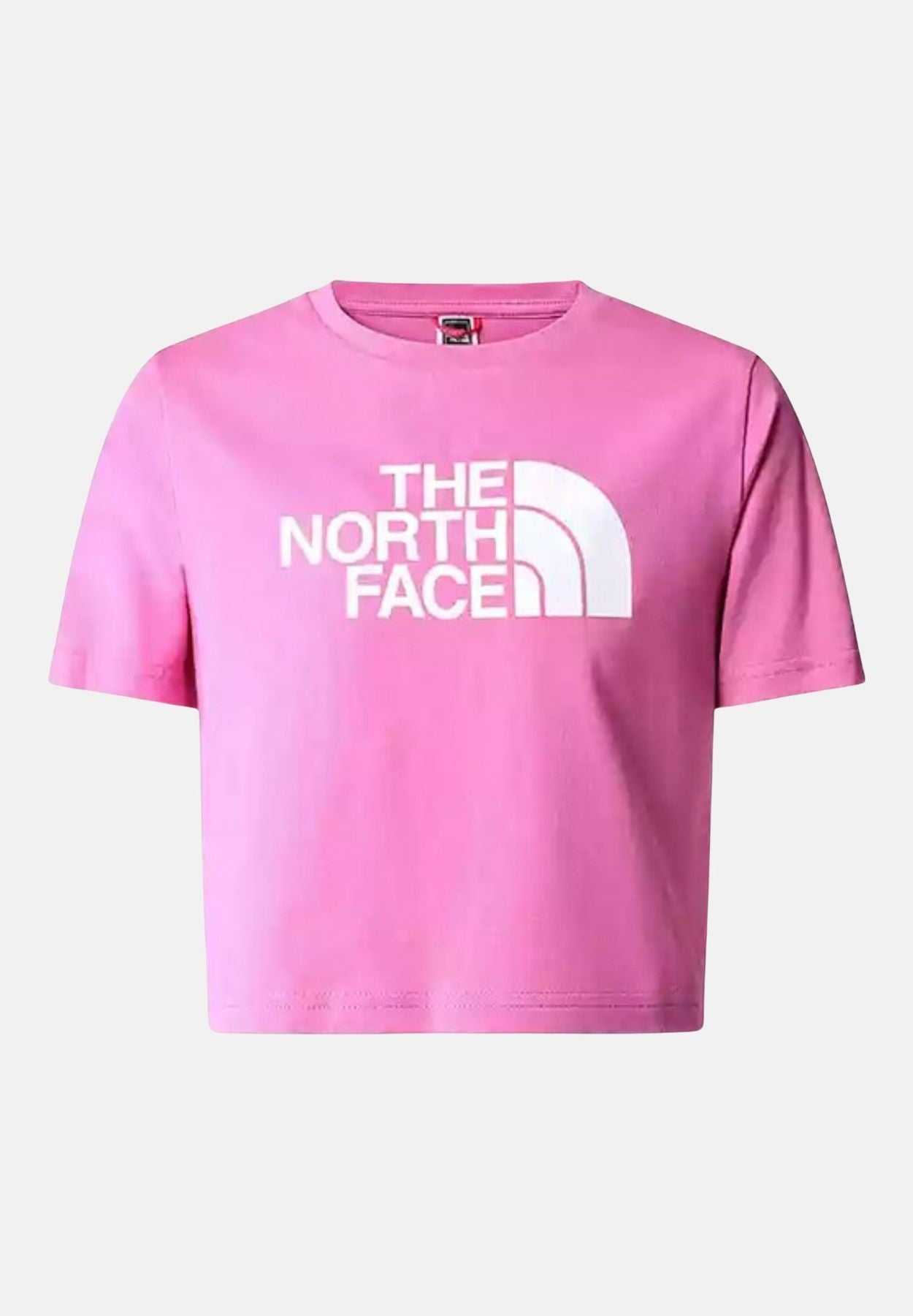 NF0A83EULV71 - T-Shirt e Polo - THE NORTH FACE