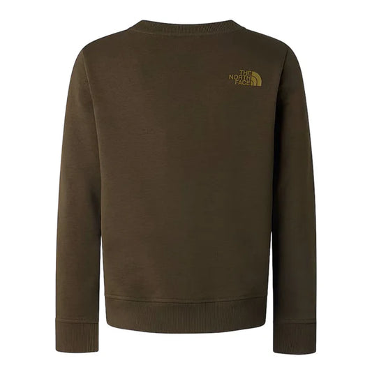 THE NORTH FACE TEEN DREW PEAK REG CW NEW TAUPE GREEN NF0A8AXX21L1