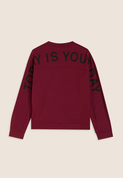 FREDDY FELPA F25WMCS6-K85