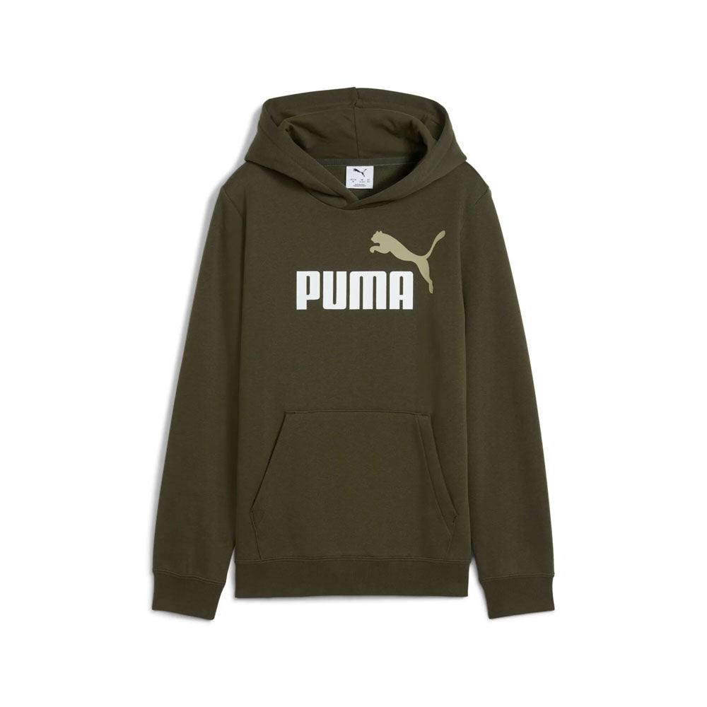 PUMA ESS 2 COLOR NO. 1 LOGO HOODIE FL B GREEN 685822-70
