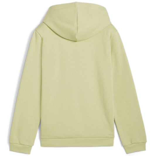 PUMA ESS+ MID90S HOODIE FL B PISTACHIO GREEN 628022-37