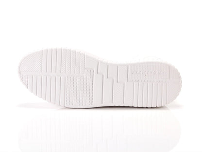 LOTTO VENUS 1 AMF II GLI W 219986-1VQ