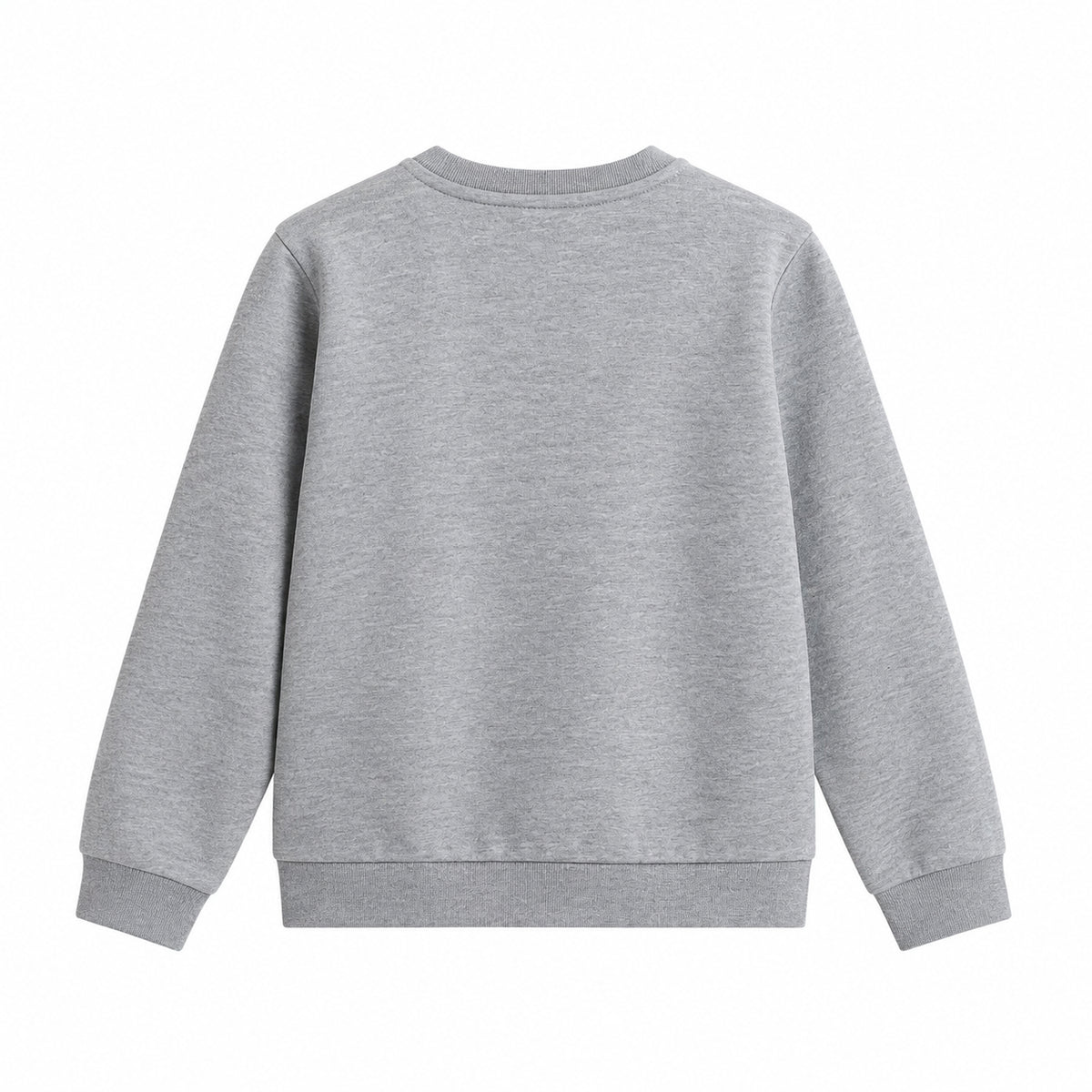 THE NORTH FACE NTF TEEN EVOLUTION SIMPLE DOME CREW TNF PALE GREY HEATHER NF0A8ESMCQO1