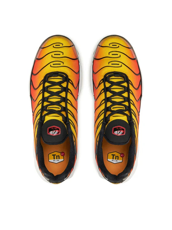 NIKE Air Max Plus HF0552-001