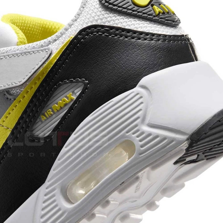 NIKE AIR MAX 90 PS IQ0096-100