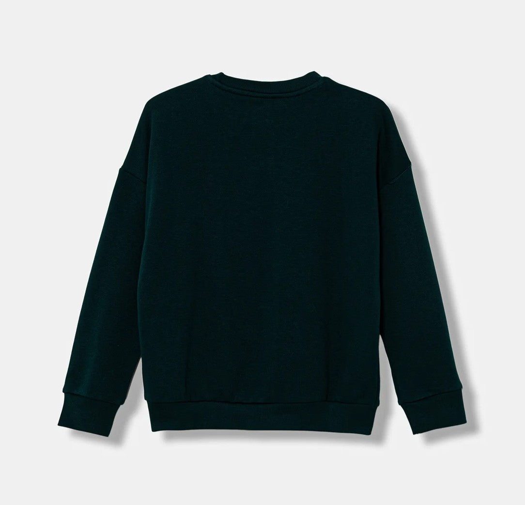 ADIDAS AOR TREFOIL CREW AURIVY/BLACK JV8574