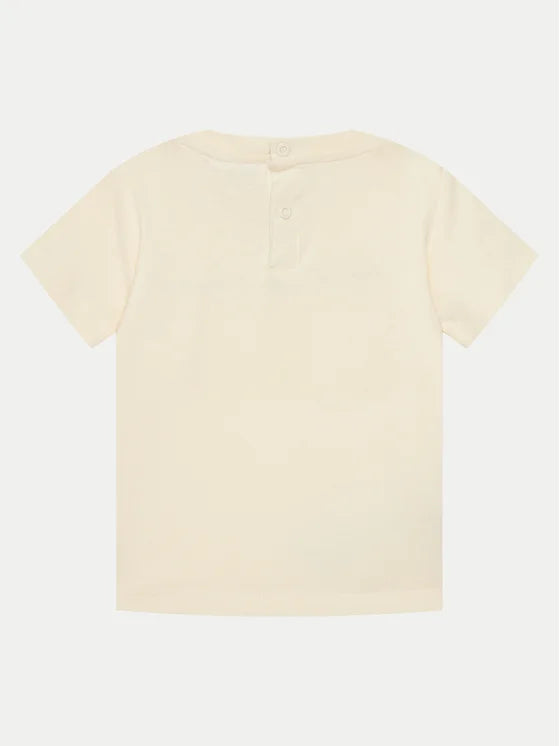 CHAMPION SET NATL/NNY 307055-YS141