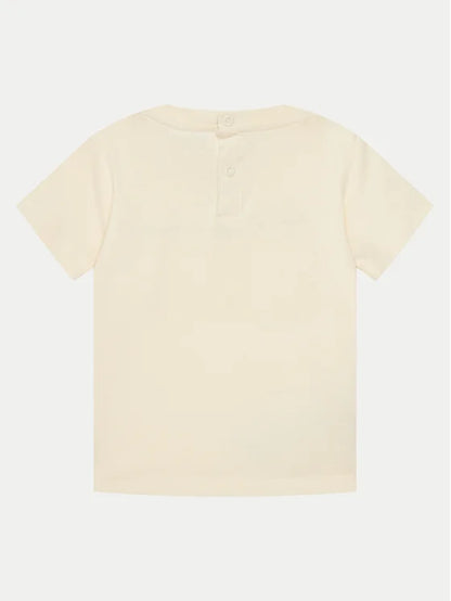 CHAMPION SET NATL/NNY 307055-YS141