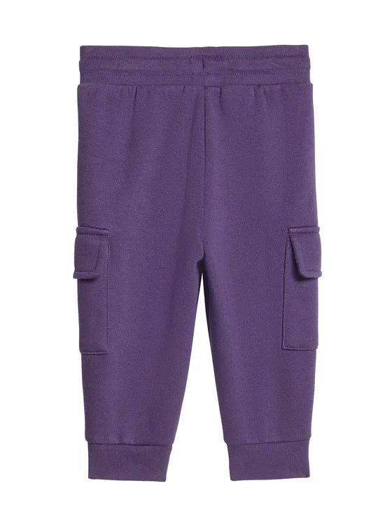 ADIDAS AOR HOODIE SET AURPLU JY4867