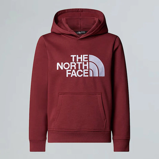 THE NORTH FACE TEEN DREW PEAK PULLOVER HOODIE SUMAC NF0A8EHH0VO1