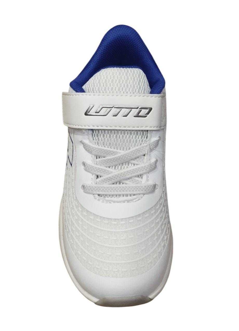 LOTTO OASI AMF CL S 222628-8BO