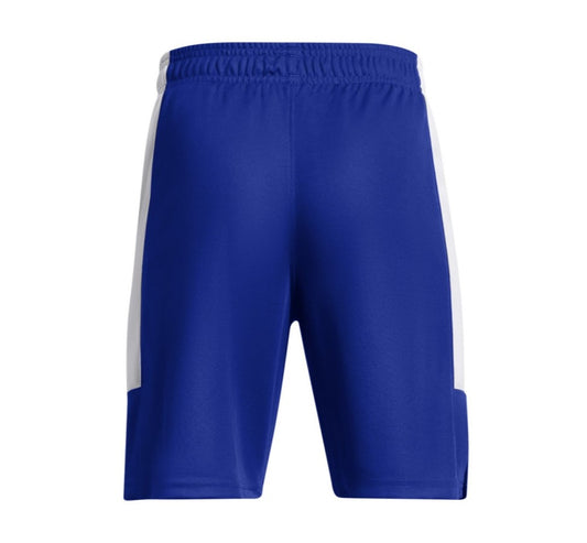 UNDER ARMOUR BASELINE SHORT 1383402-400