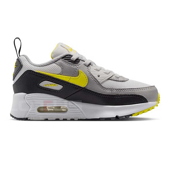 NIKE AIR MAX 90 PS IQ0096-100