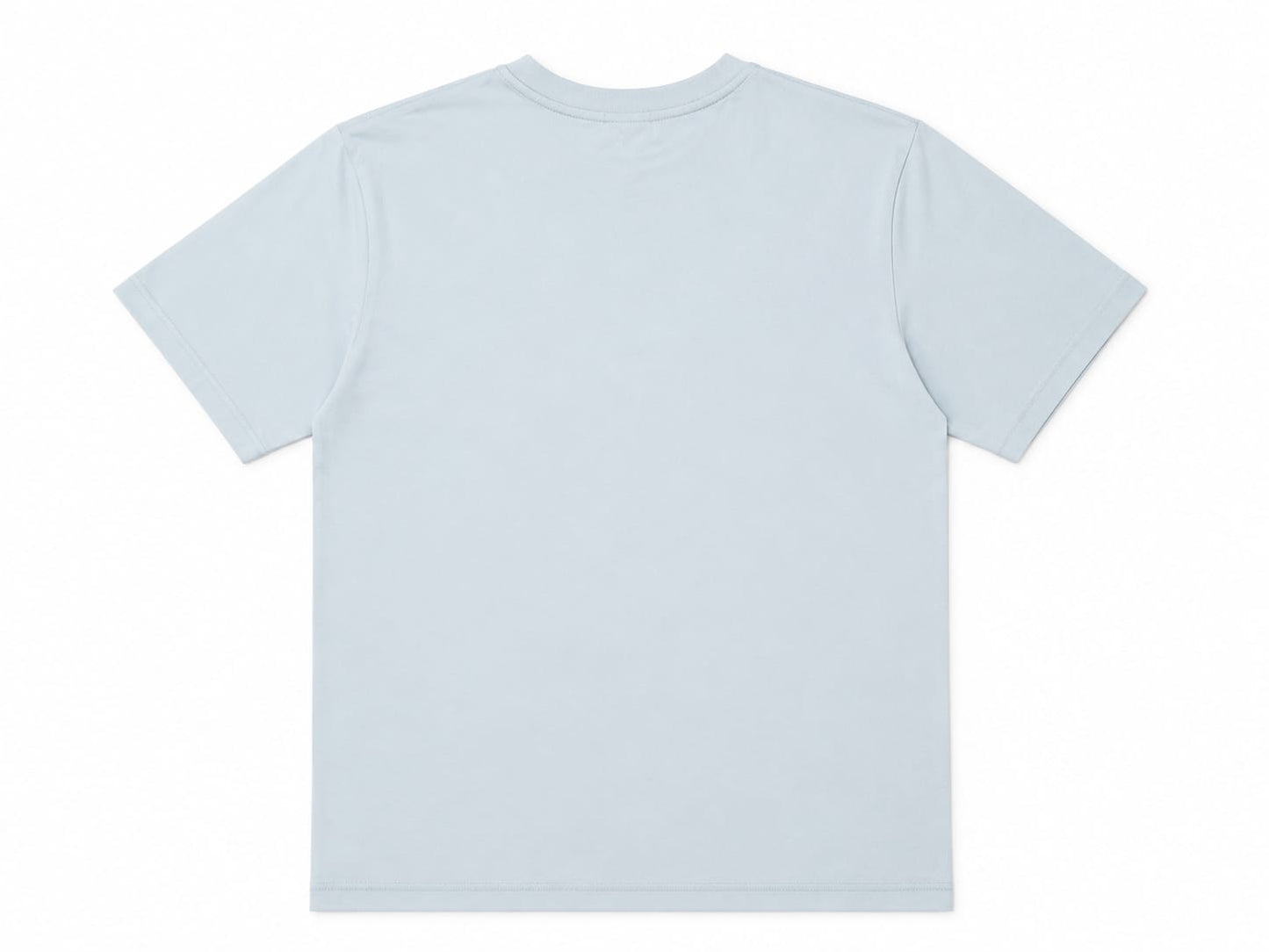 Starter T-SHIRT M/M 74321 U ST