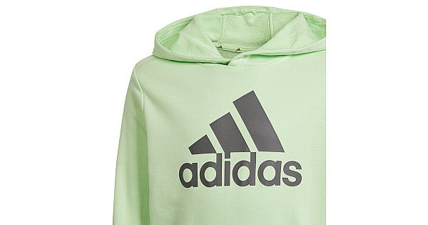 ADIDAS U BL HOODIE SEGRSP/CHACOA IS2591