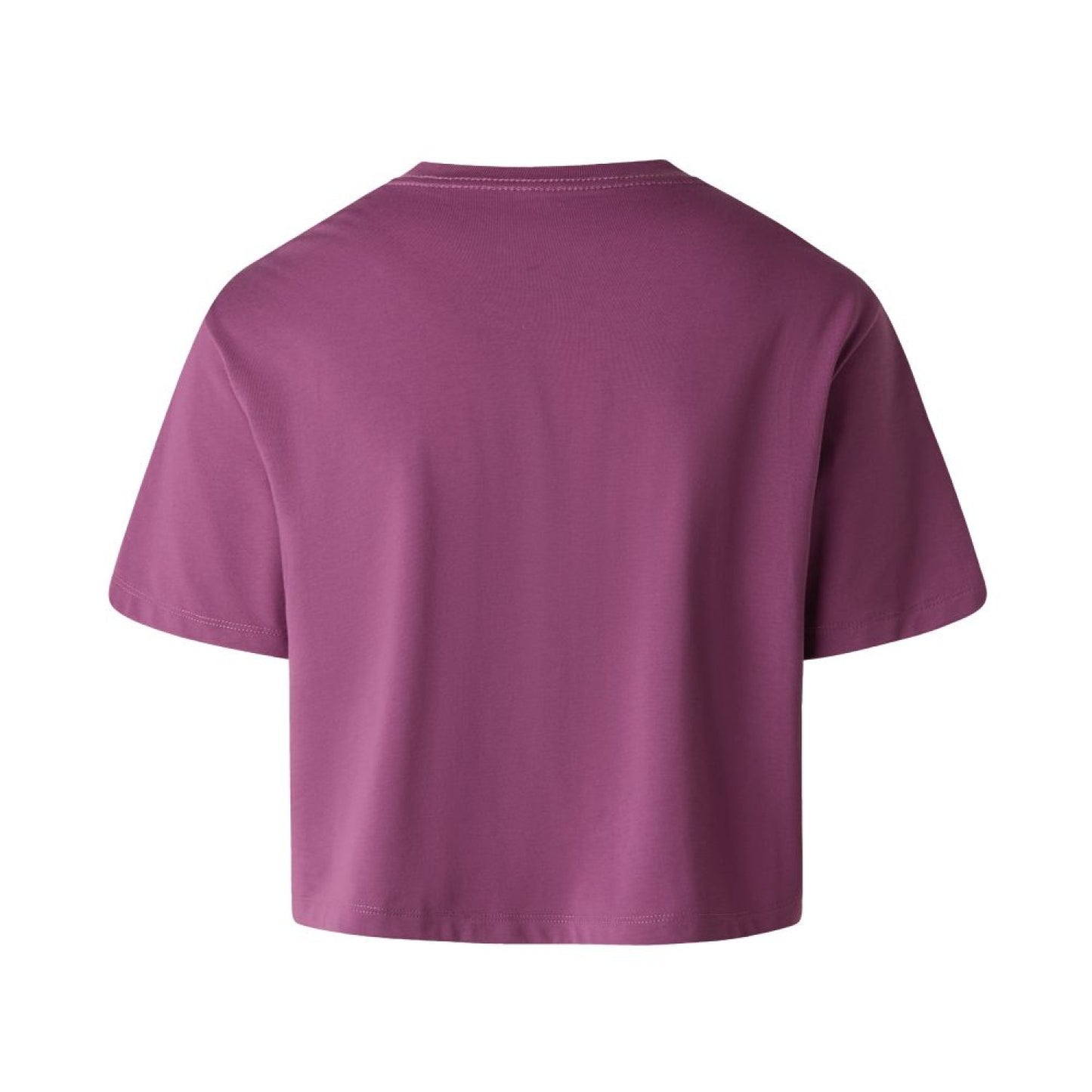 THE NORTH FACE W EVOLUTION SIMPLE DOME CROP RLX SS TEE CHROMA PURPLE NF0A8FDHG4Y1