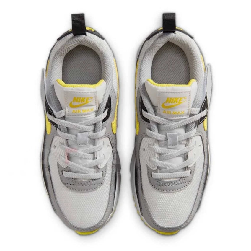 NIKE AIR MAX 90 PS IQ0096-100