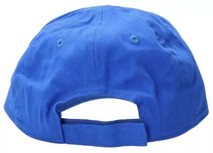 NIKE FUTURE CURVE BRIM CAP 8A2902-U89