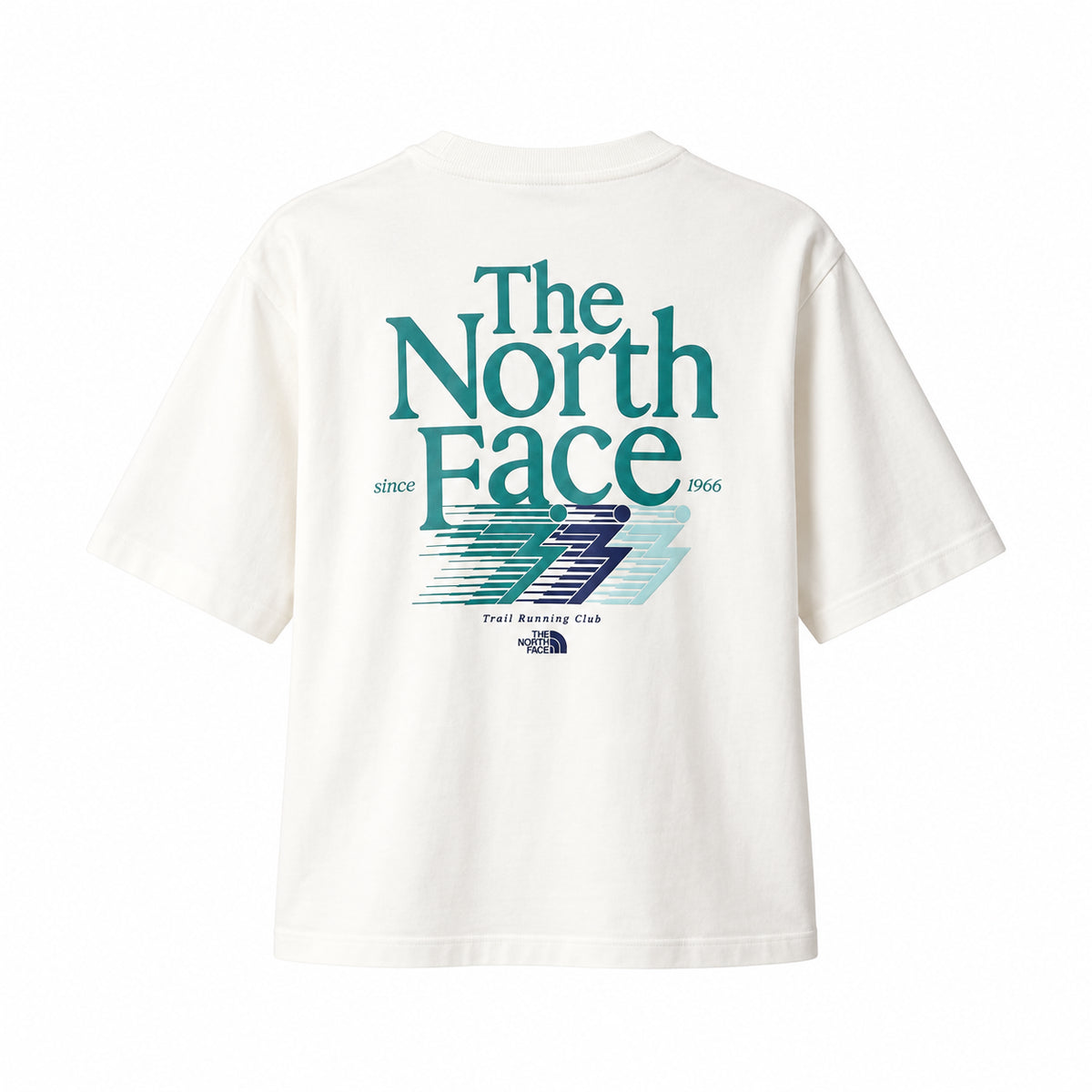 THE NORTH FACE NTF W RETRO TRAIL BOXY SS TEE-GRAPHIC WHITE DUNE NF0A8JAHQLI1