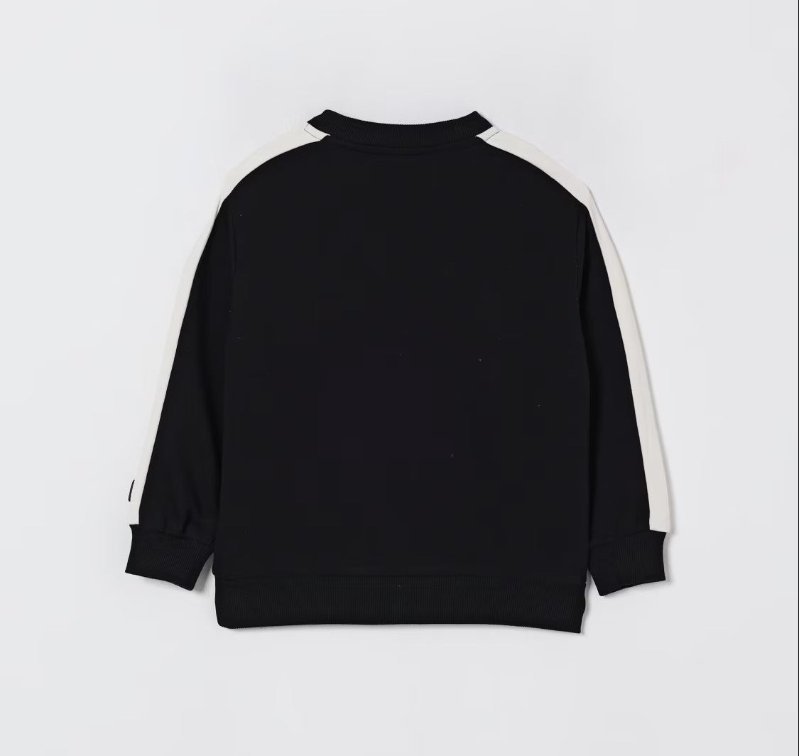 FILA DESANA regular blocked crewneck sweatshirt FAK0440-80010