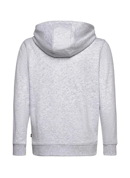 VANS BY BLOCKED BOX FZ HOODIE Light Grey Heather VN000RBN1QI1