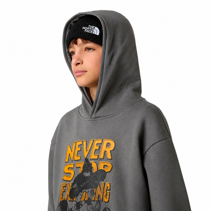 The North Face TNF B Oversize Hoodie Grigio