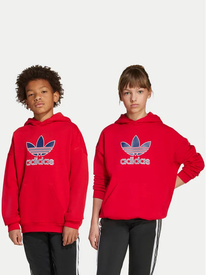 ADIDAS AOR TREFOIL HOODIE BETSCA JV8652