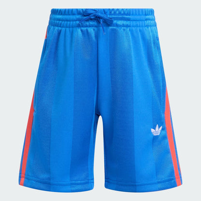 ADIDAS AOR STS BLUE KD3319