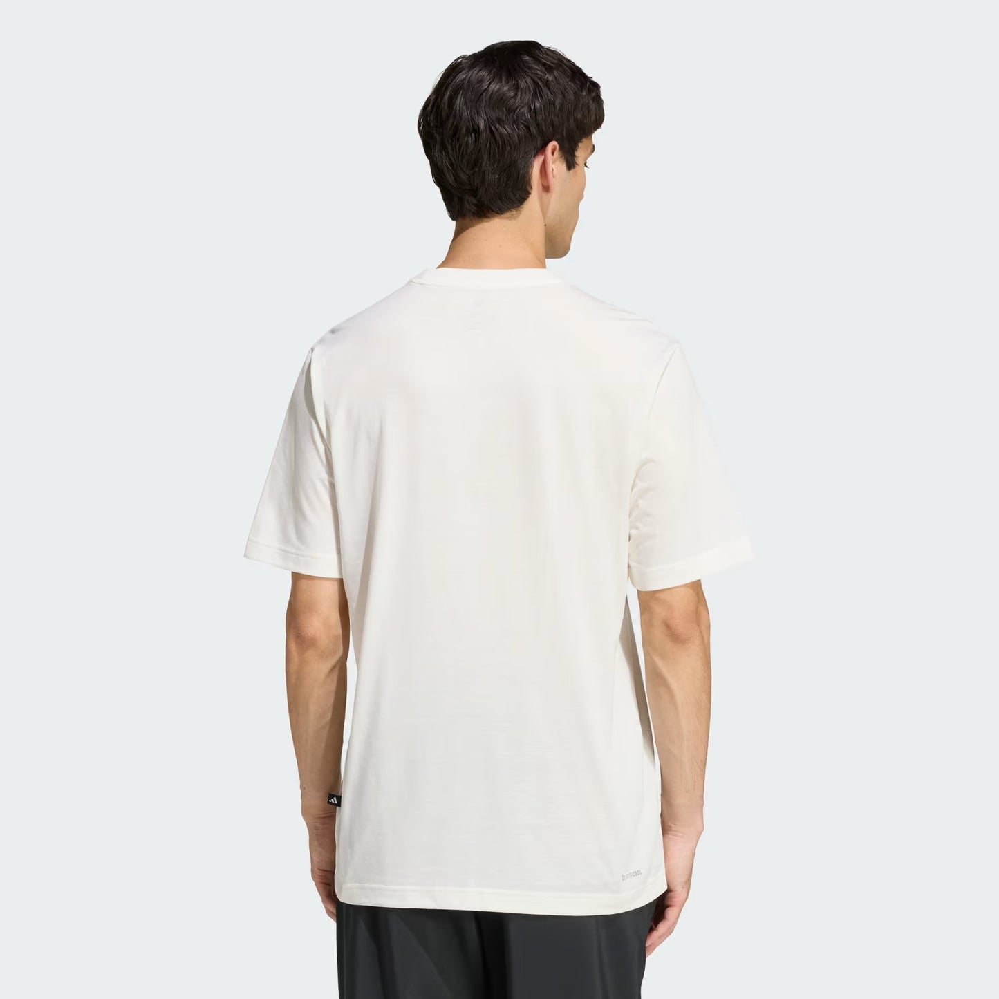 ADIDAS ADI M CT LOGO T OWHITE JZ7512
