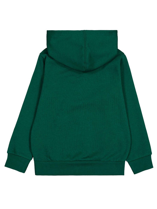 CHAMPION HOODED SWEATSHIRT HLG 306837-GS502