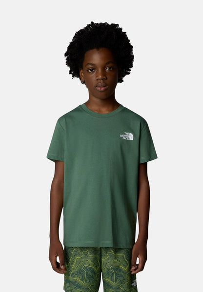 THE NORTH FACE NTF B BOX NSE S/S TEE DUCK GREEN NF0A89VTHCH1