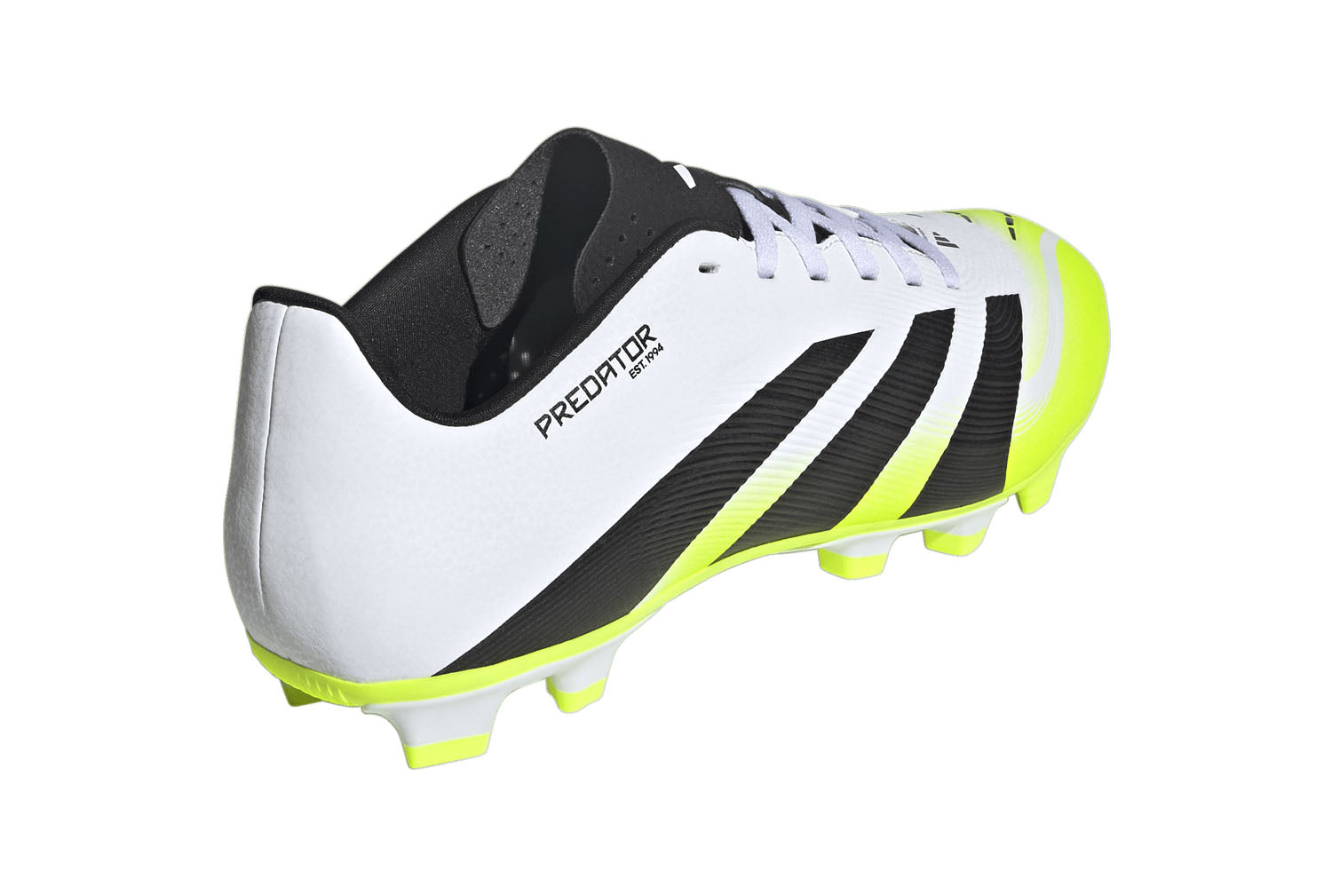 Sport You