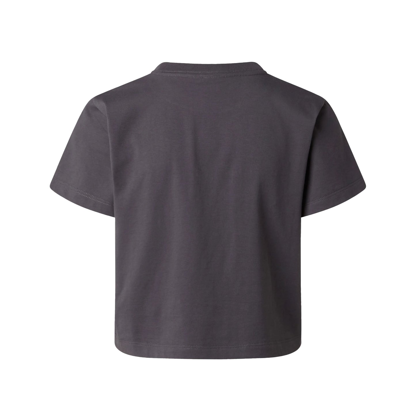 THE NORTH FACE W ESSENTIAL REGULAR SHORT SLEEVE CUTIE T ANTHRACITE GREY NF0A8GR1RHI1