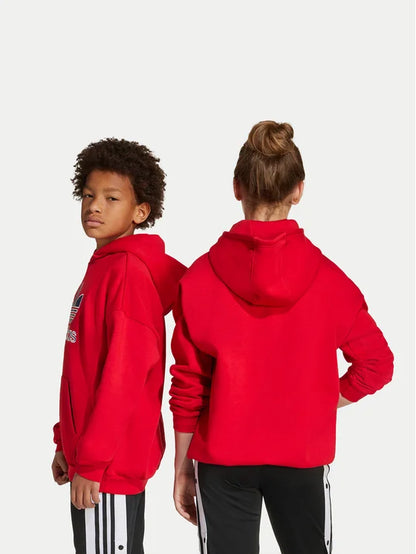 ADIDAS AOR TREFOIL HOODIE BETSCA JV8652