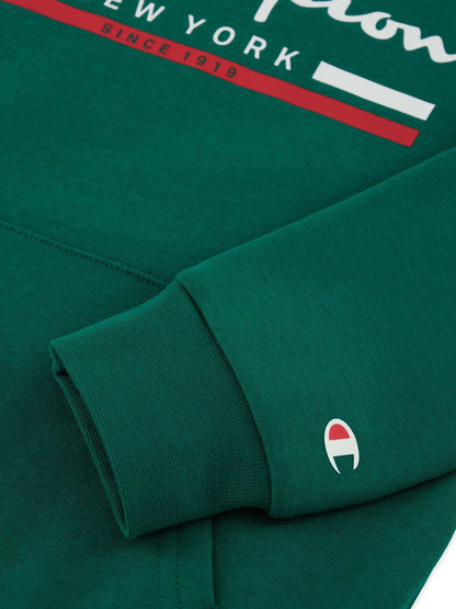 CHAMPION HOODED SWEATSHIRT HLG 306837-GS502