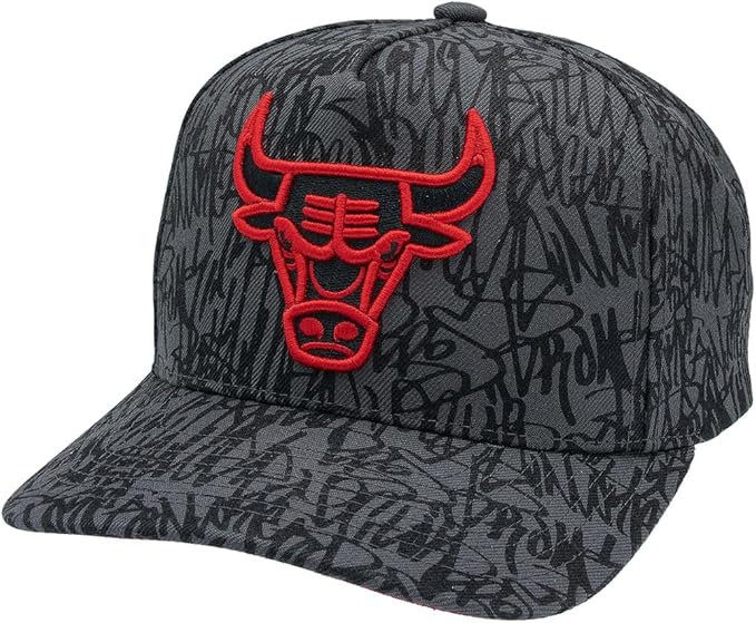 Mitchell & Ness HIP HOP HISTORY CURRENT PRO CROWN HP13762-CBUVBLK