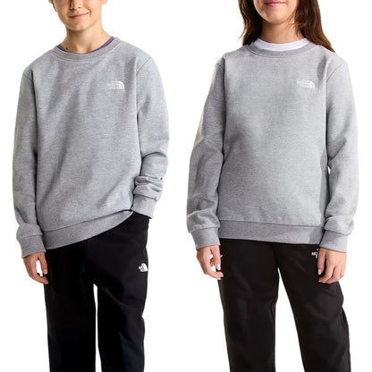 THE NORTH FACE NTF TEEN EVOLUTION SIMPLE DOME CREW TNF PALE GREY HEATHER NF0A8ESMCQO1